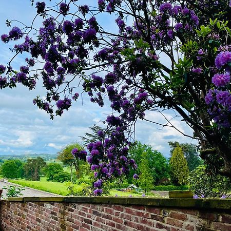 Llanerchydol Hall Suites Welshpool Esterno foto