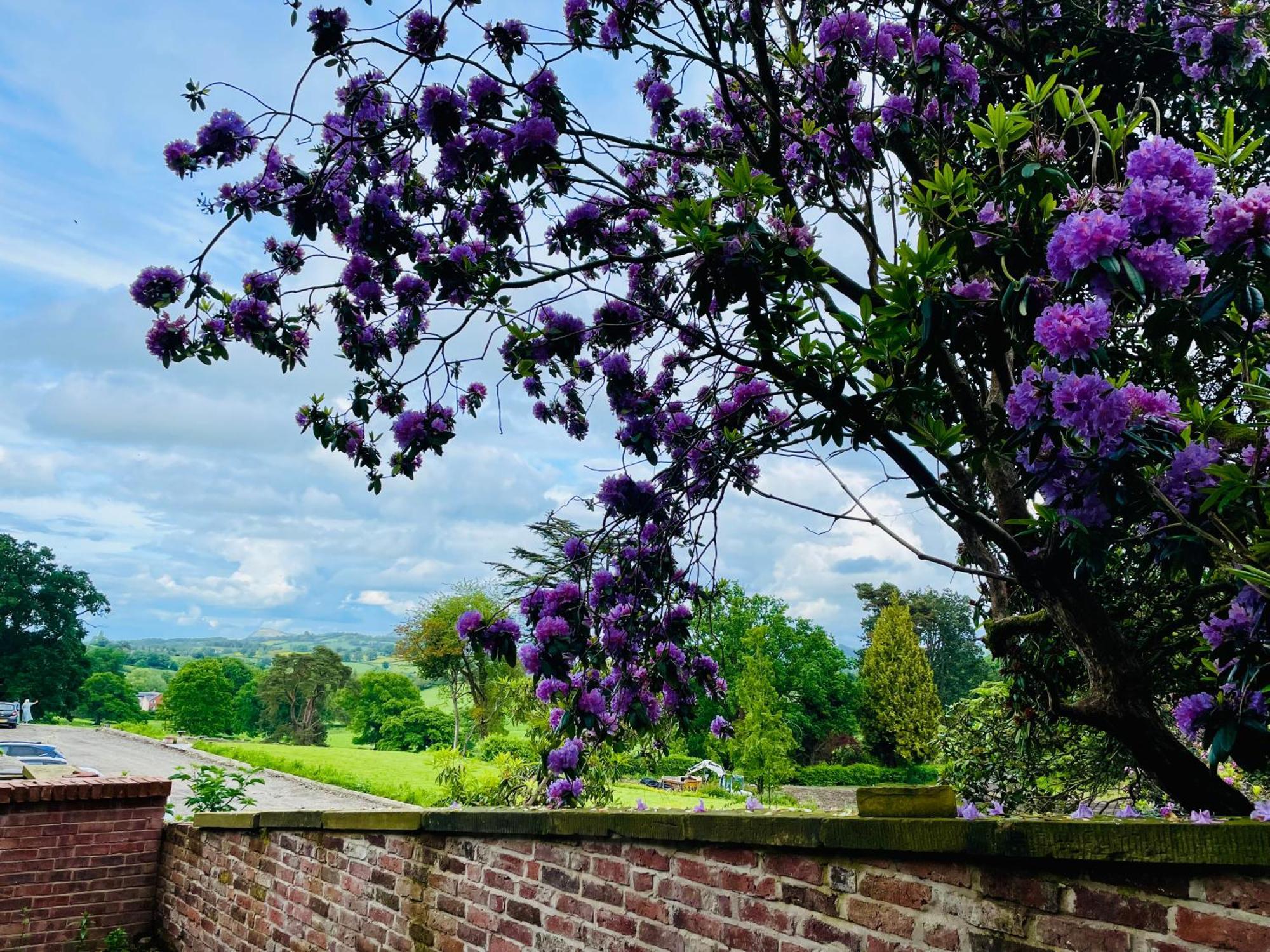 Llanerchydol Hall Suites Welshpool Esterno foto